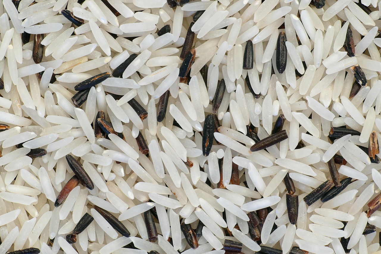 Riz Basmati Brun Propriétés Et Avantages Natureflare Fr